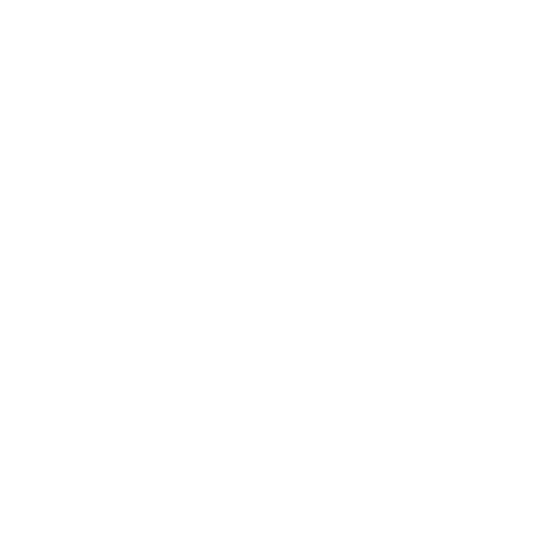 NEW FUTURA (WHITE)